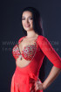Professional bellydance costume (classic 197a)